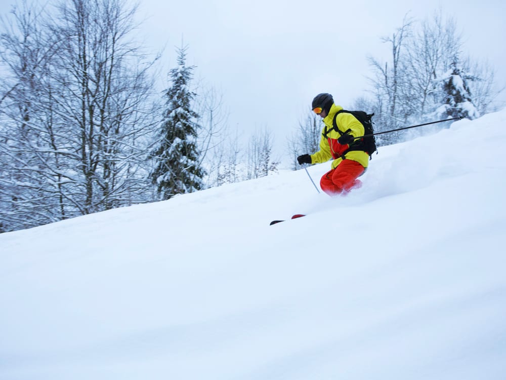 Skiing & Snowmobiling
